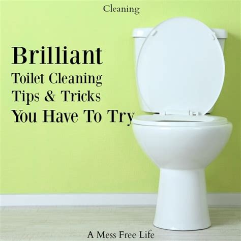 Say No to Germs: Magic Toilet Cleaner for a Healthier Environment